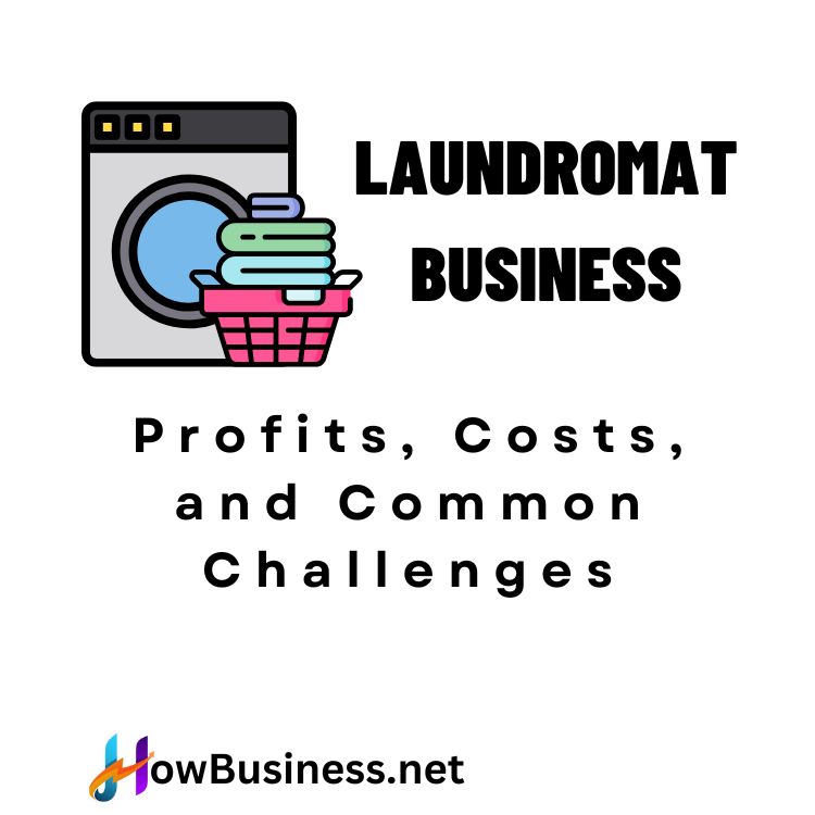 Laundromat Business Profits, Costs, and Common Challenges